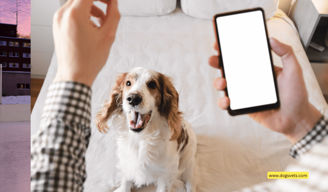 Are Dog Training Apps Worth It? Unleash Benefits